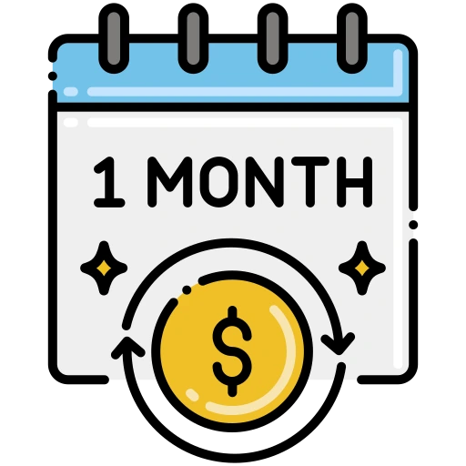 Drivology Solutions  Monthly Basis